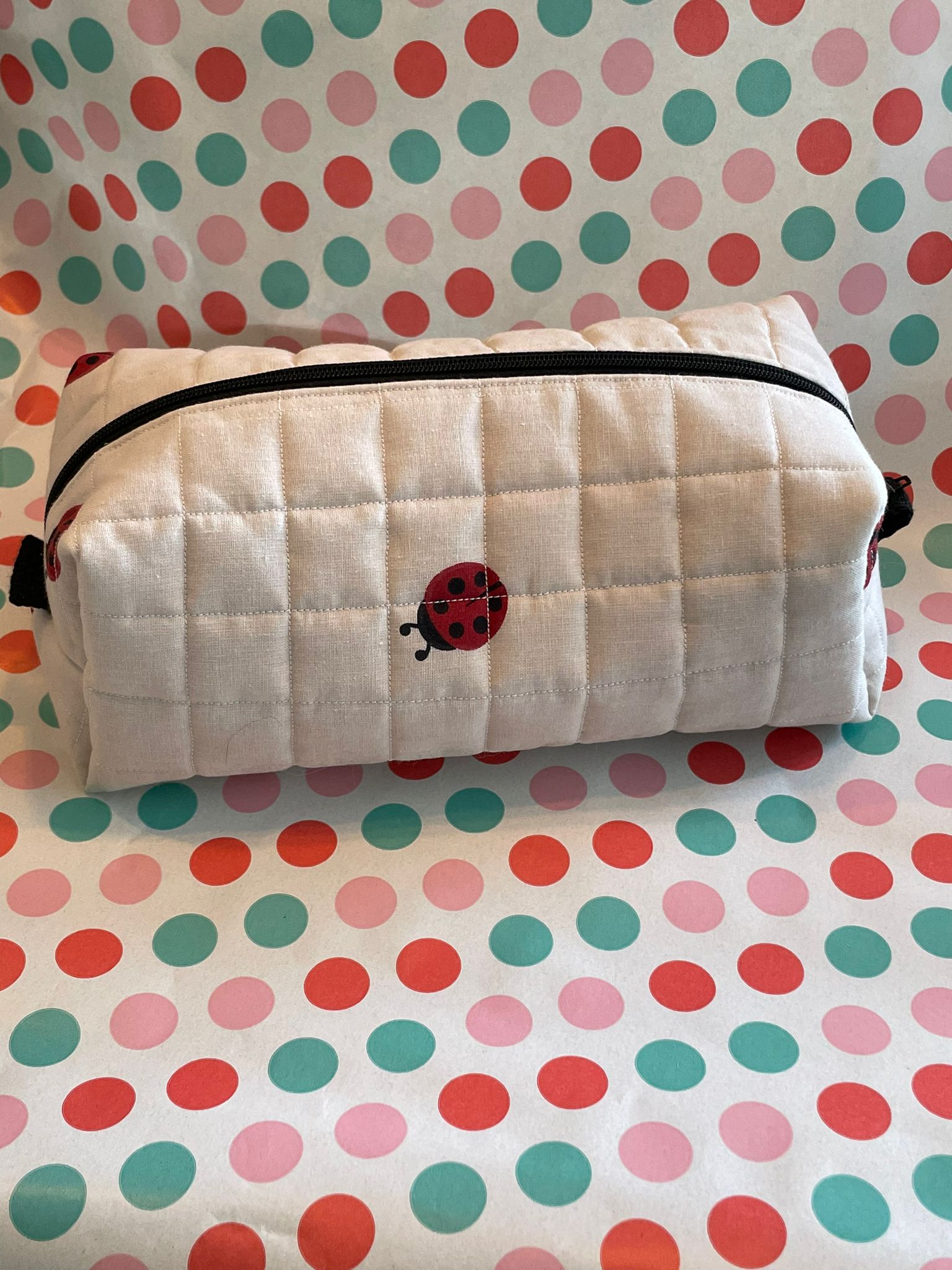 make-up bag tiny lady bug